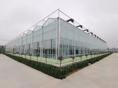 豐縣智慧農(nóng)業(yè)新篇章 空中瓜果背后的高科技大棚設計