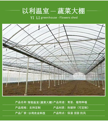 以利農(nóng)業(yè) 專業(yè)化設(shè)計與一站式服務，打造高效智能的花卉養(yǎng)殖大棚與連棟玻璃溫室