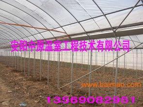 中原地區(qū)養(yǎng)殖大棚骨架與鋼架大棚骨架 廠家、價(jià)格與農(nóng)業(yè)溫室應(yīng)用